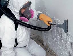 Reliable Franklin, KY Mold Removal Solutions